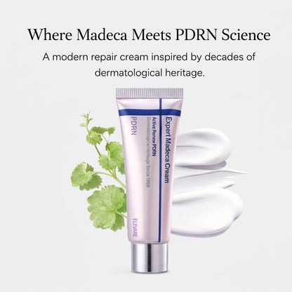 Expert Active Renew Cream