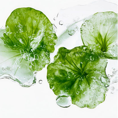 Madeca Cream Time Reverse - LIMITED TIME OFFER