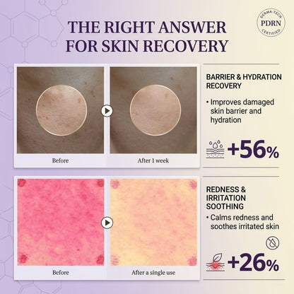 Expert Active Renew Cream